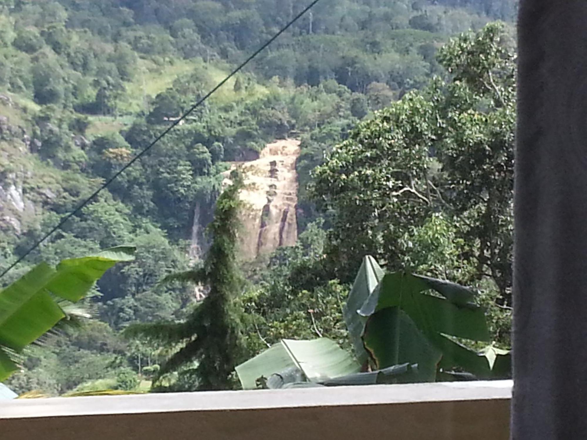 Wow Homestay *